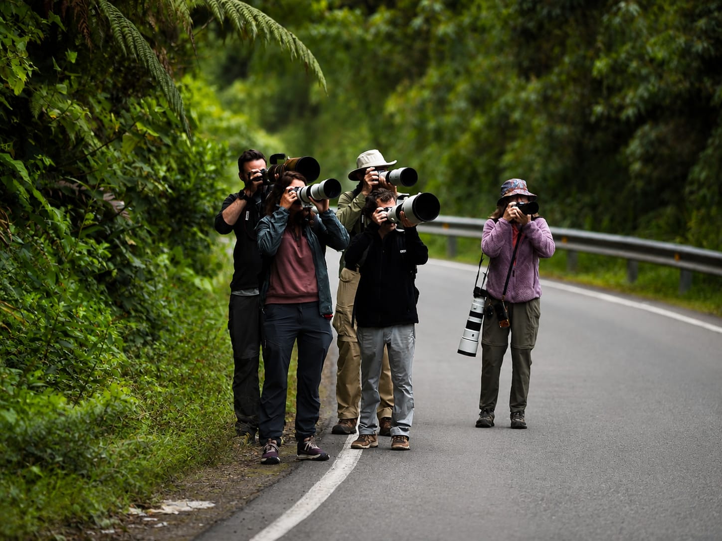 Birding & Photo